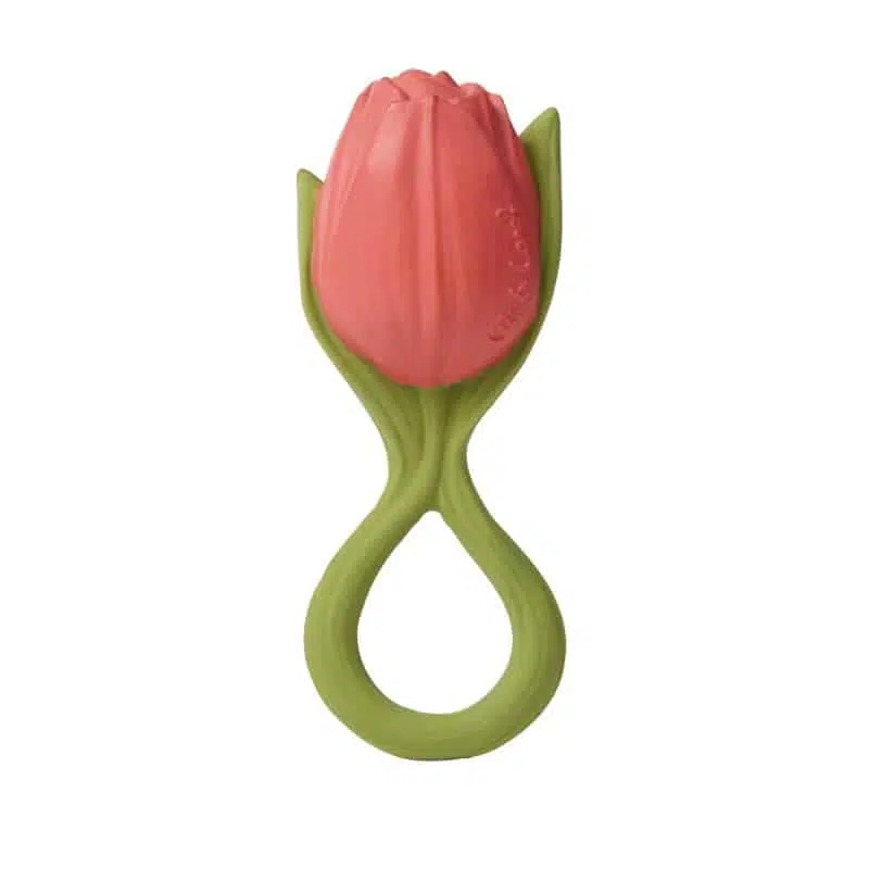 HRYZÁTKO TULIPÁN THEO THE TULIP