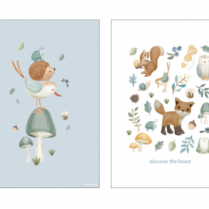 Plagát A3 Forest Wonders