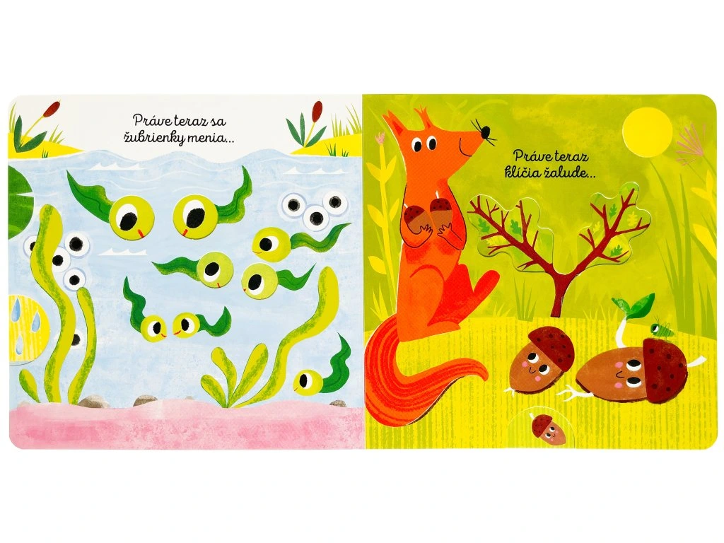 Práve teraz… Malé veľké zmeny v prírode