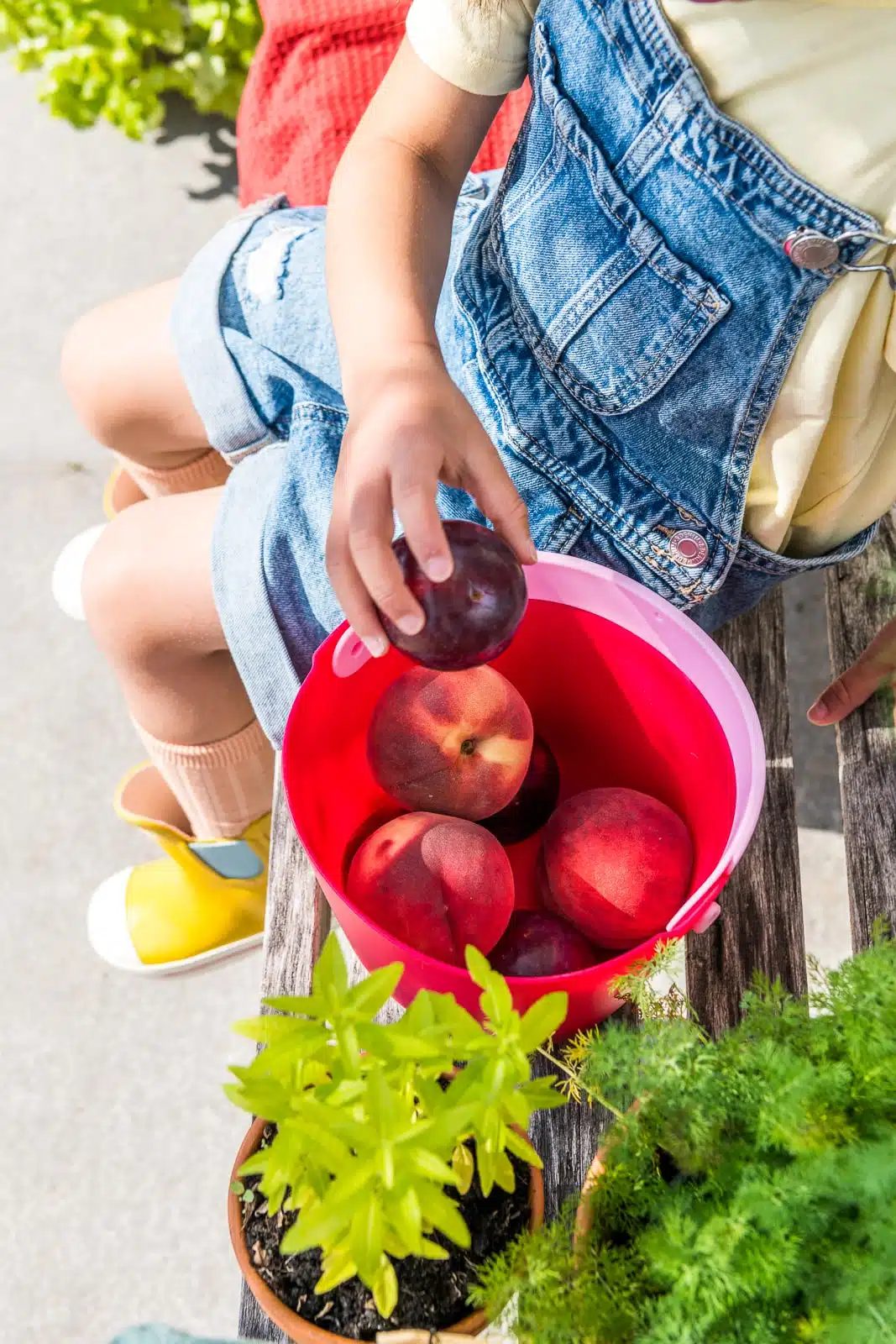 VEDRO SO SITKOM QUUT BUCKI GARDEN GREEN – Obrázok 15