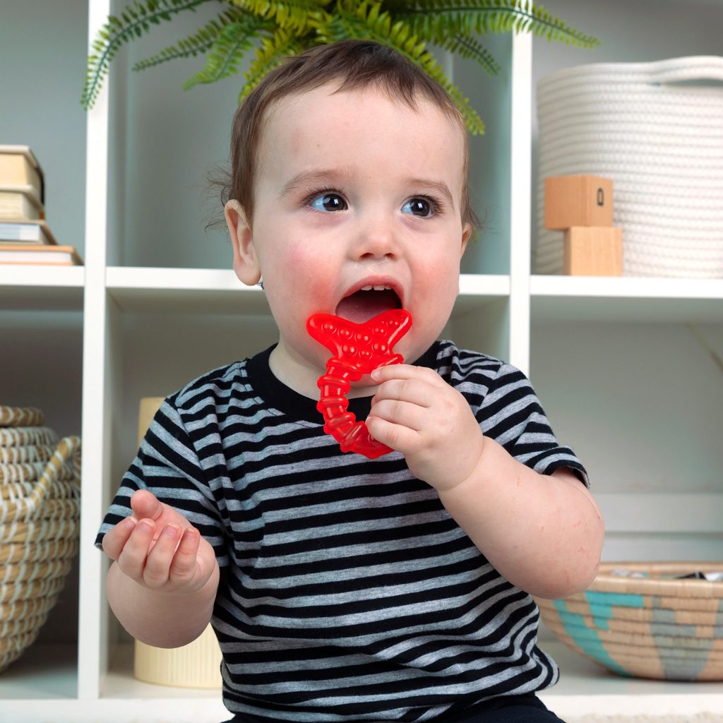 BABY EINSTEIN Hryzačka 4ks bez BPA Cool Critters 3m+ – Obrázok 8