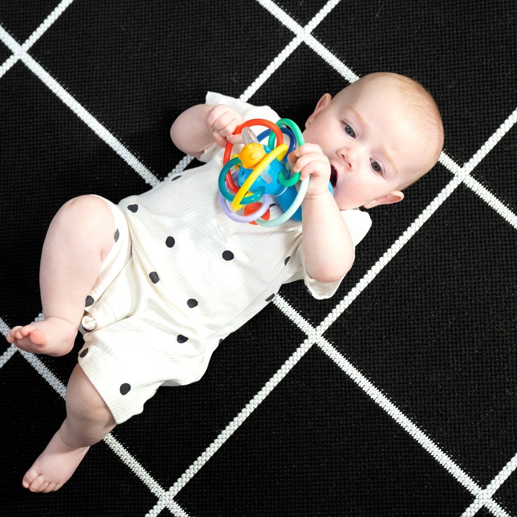 BABY EINSTEIN Hryzačka/hrkálka Opus’s Shake & Soothe™ 0m+ – Obrázok 14