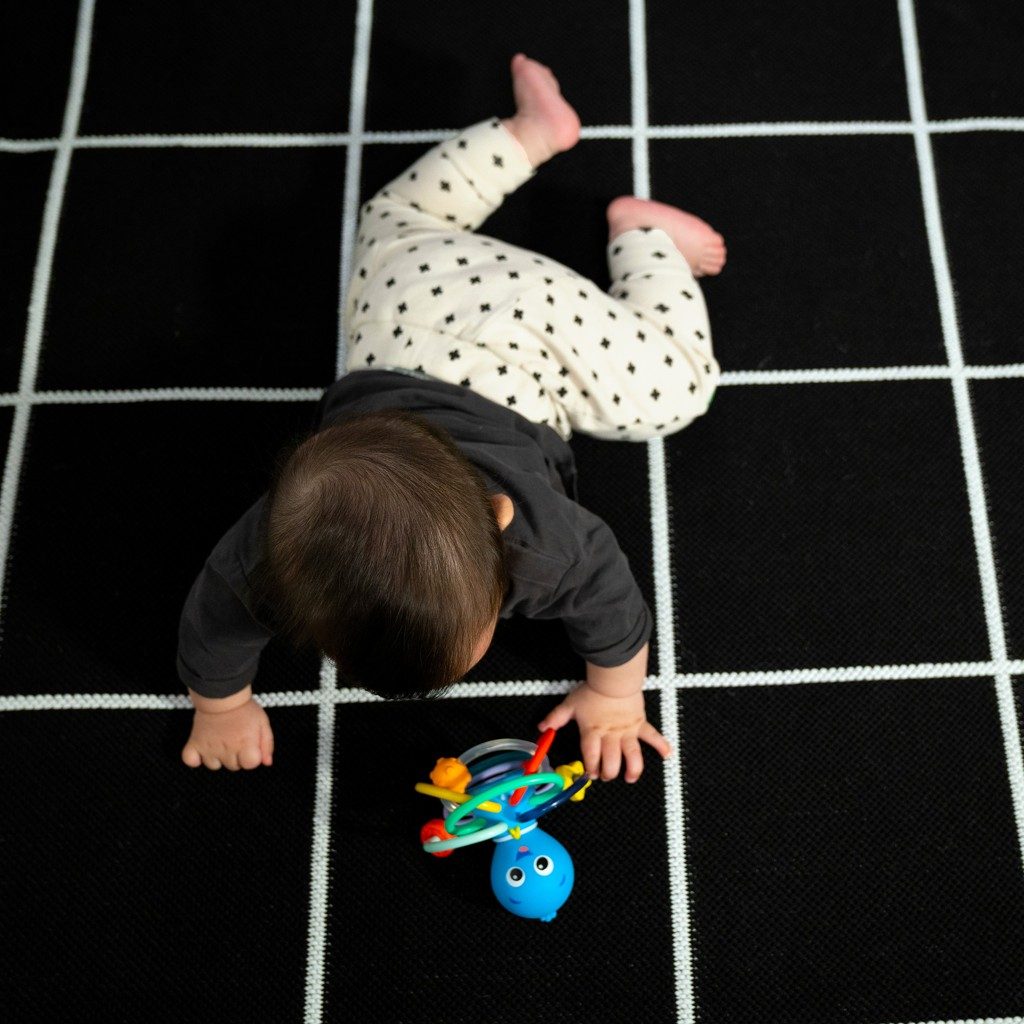 BABY EINSTEIN Hryzačka/hrkálka Opus’s Shake & Soothe™ 0m+ – Obrázok 9