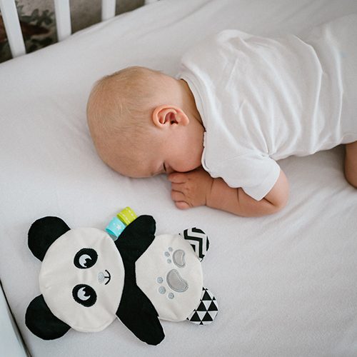 BABYONO Hračka maznáčik Panda Polly 3m+ – Obrázok 3