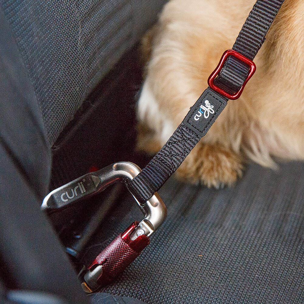 CURLI Bezpečnostný pás do auta pre psov M 60 cm – Obrázok 3