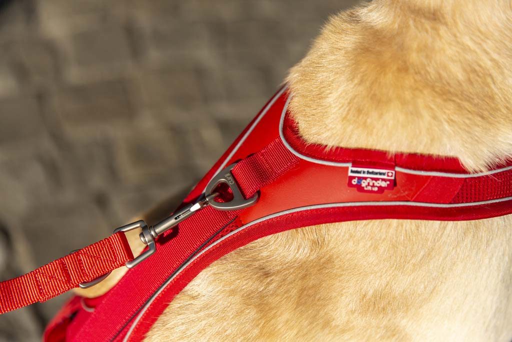 CURLI Postroj pre psov Belka Comfort Red M, 20-30 kg – Obrázok 12