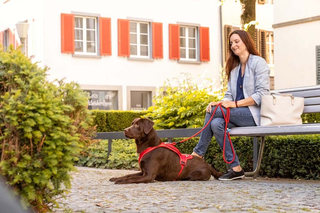 CURLI Postroj pre psov Belka Comfort Red M, 20-30 kg – Obrázok 23