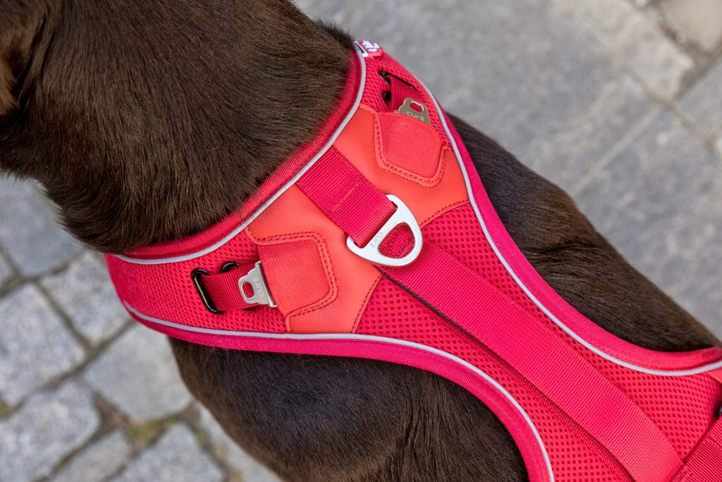 CURLI Postroj pre psov Belka Red XL 30-45 kg – Obrázok 11