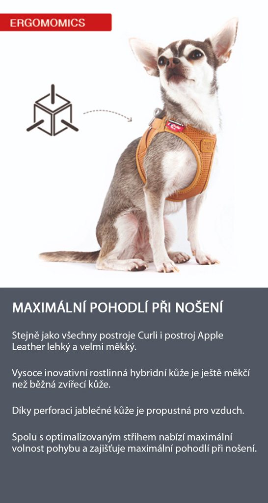 CURLI Postroj pre psov z jablčnej kože Brown 2XS, 2-4 kg – Obrázok 6
