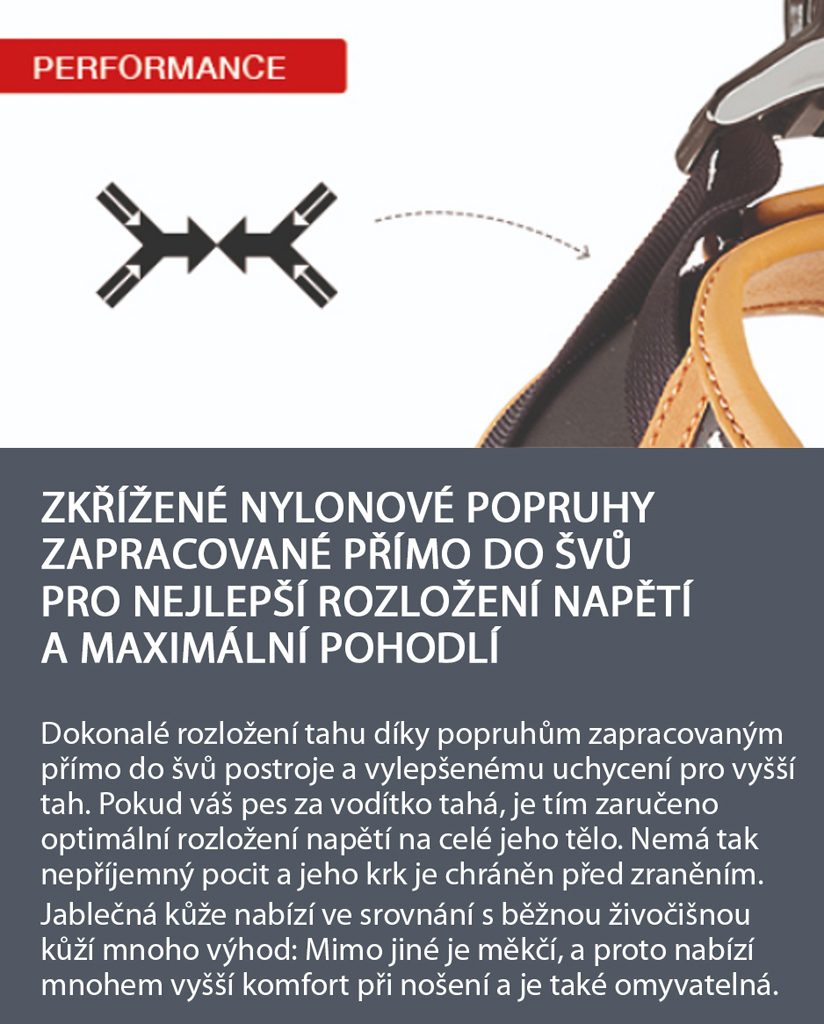 CURLI Postroj pre psov z jablčnej kože Brown XS, 3-5 kg – Obrázok 6