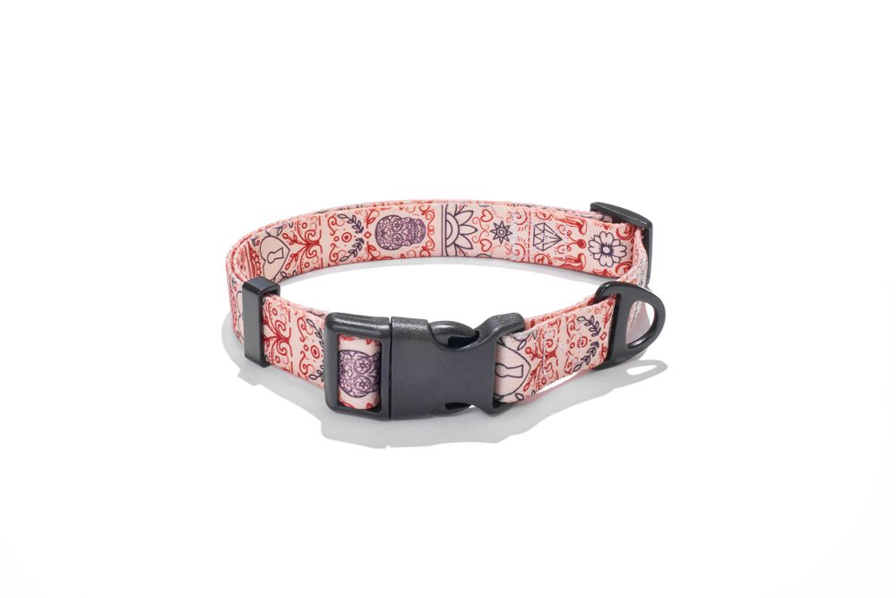 EXPLORER DOG Obojok Srdce L - 41-66x2, 5 cm – Obrázok 2