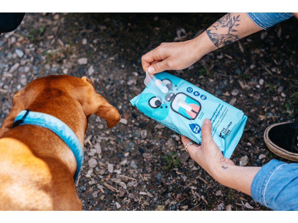 EXPLORER DOG 100% BIO odbúrateľné vlhčené obrúsky 40 ks – Obrázok 4