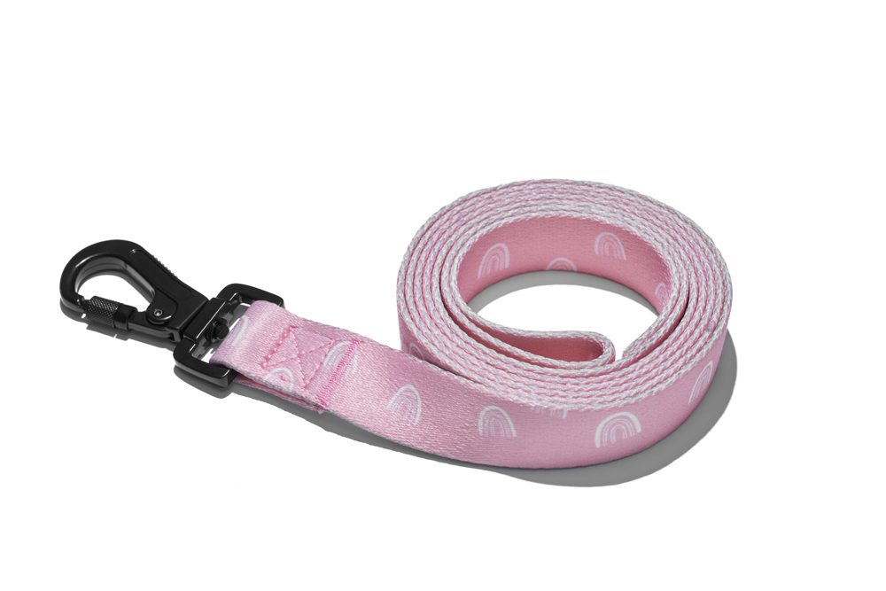 EXPLORER DOG Vodítko Dúha L - 170x2, 5 cm – Obrázok 2