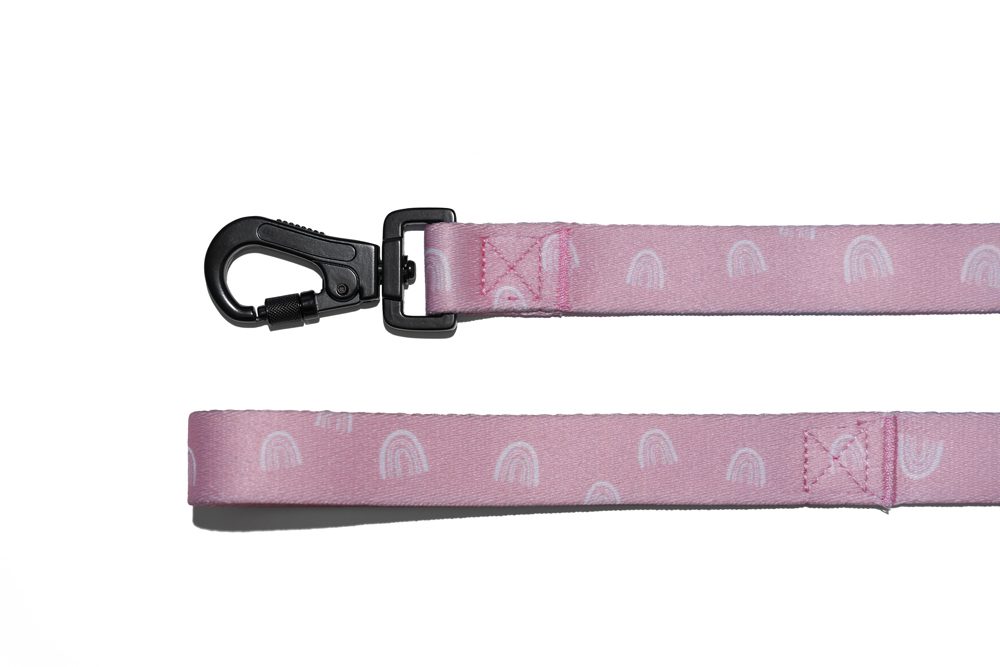 EXPLORER DOG Vodítko Dúha L - 170x2, 5 cm – Obrázok 3