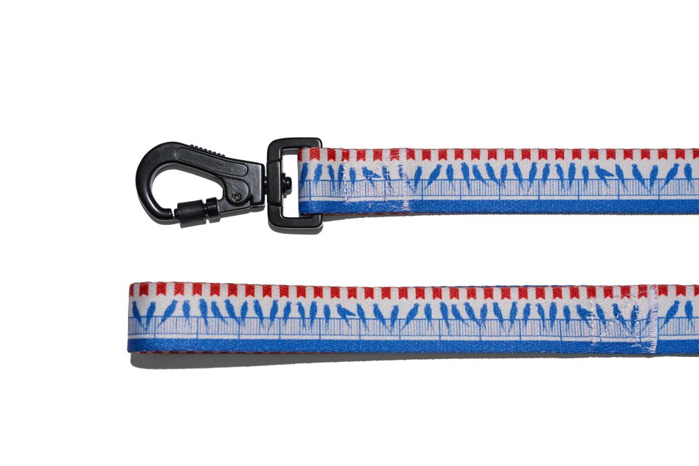 EXPLORER DOG Vodítko Vtáci L - 170x2, 5 cm – Obrázok 3