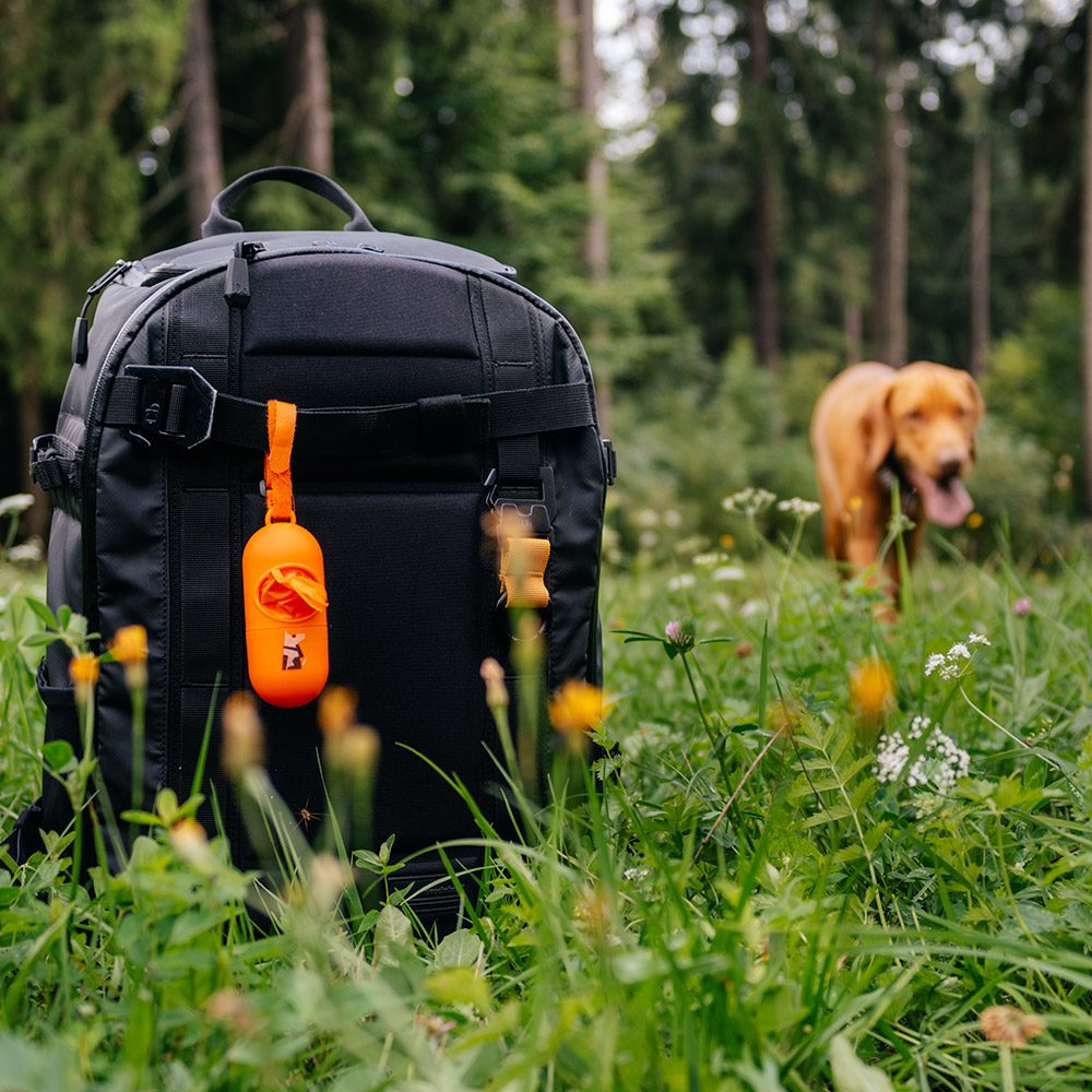 EXPLORER DOG Zásobník s 1 rolkou – Obrázok 4