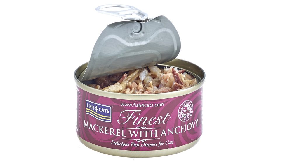FISH4CATS Konzerva pre mačky Finest makrela s ančovičkamii 70g – Obrázok 4