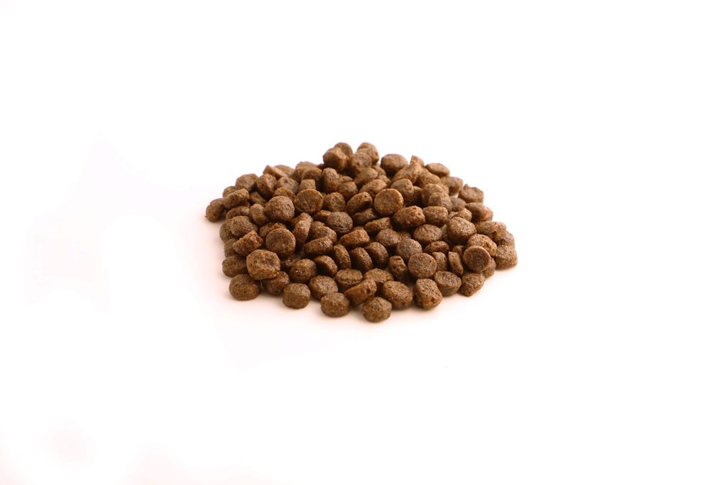 FISH4DOGS Granule malé pre šteniatka Finest losos so sladkými zemiakmi 12 kg, 2m+ – Obrázok 3