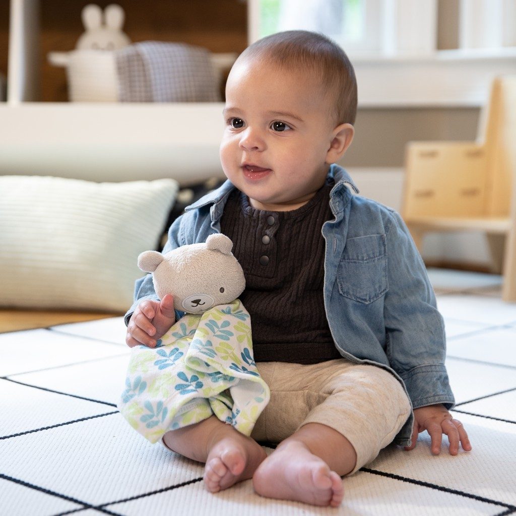 INGENUITY Dečka maznacia Cozy Lovey – Nate™ 0m+ – Obrázok 9
