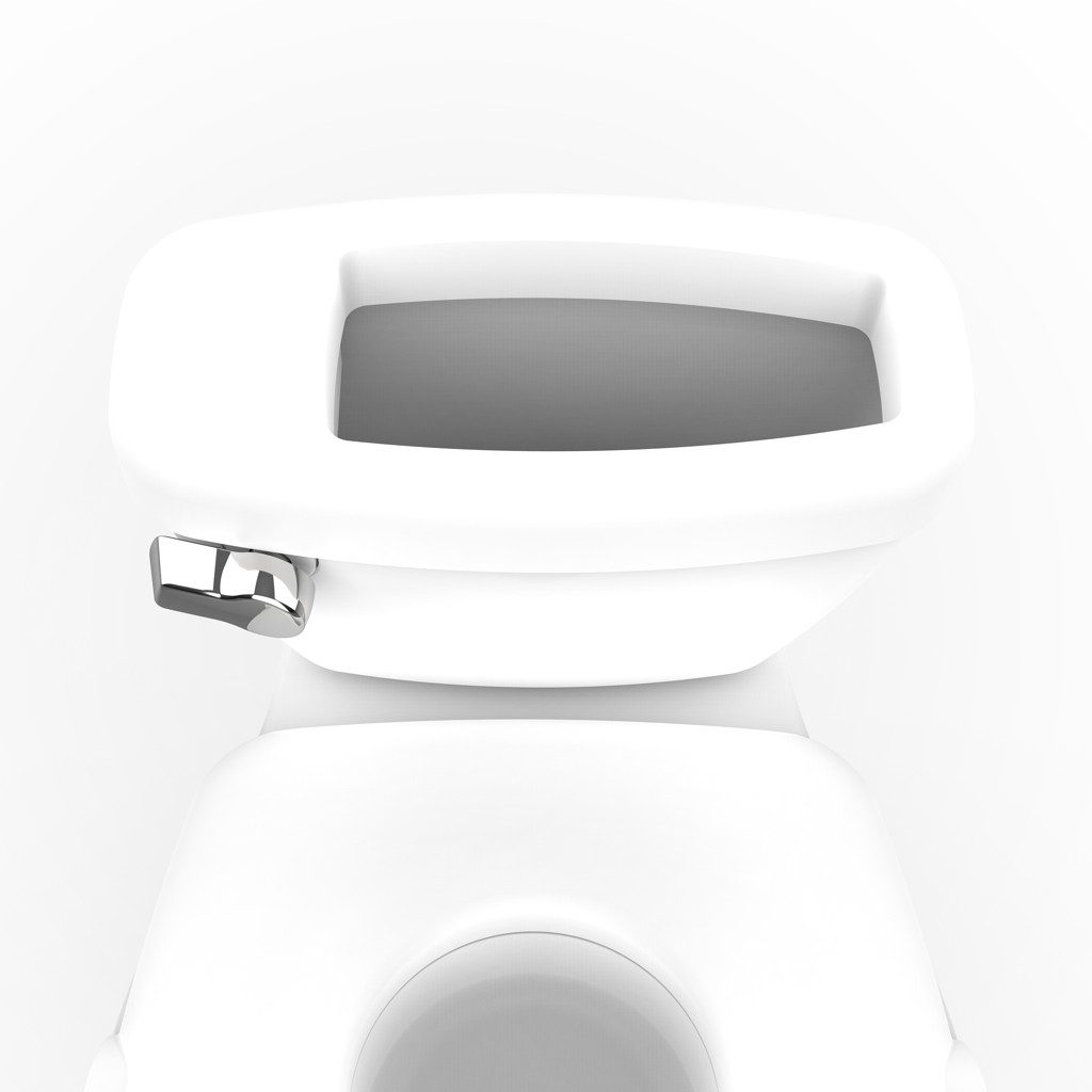 INGENUITY Toaleta detská so zvukom My Size™Biela – Obrázok 6