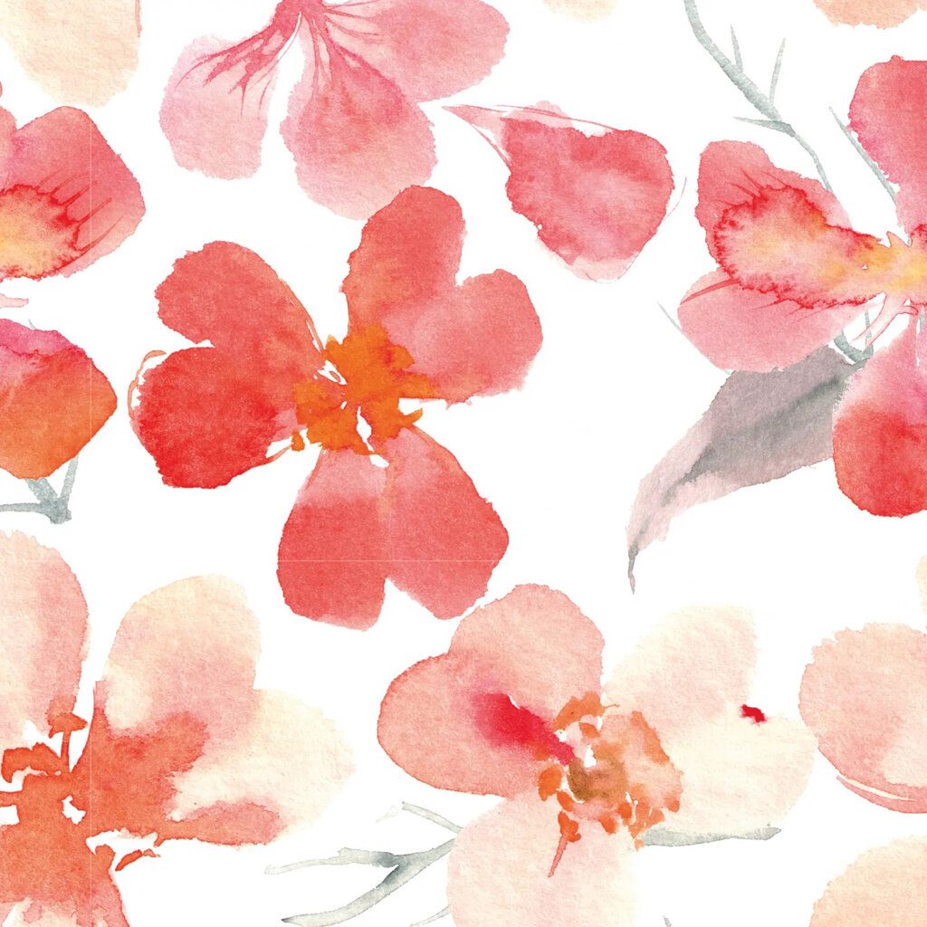 KOLORKY DAY Plienky jednorazové eko, kvety L (8-13 kg) 152 ks - MESAČNÁ ZÁSOBA – Obrázok 9