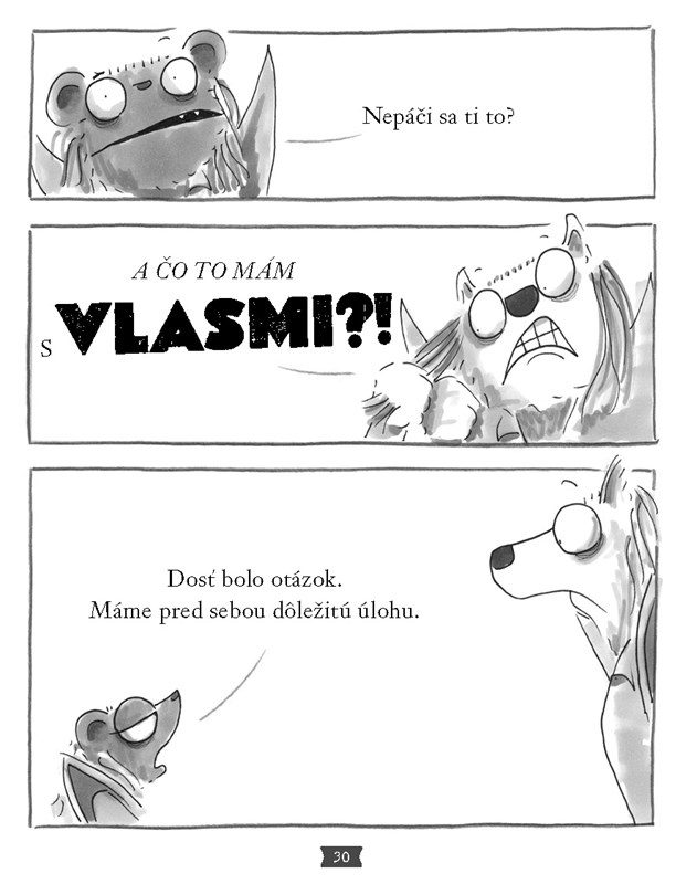 Smradi 20 – Obrázok 3